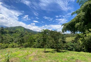 Lote de Terreno en  Caldas, Centro Norte, Santa Rosa De Cabal