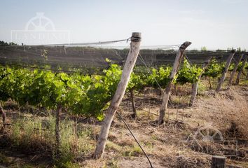 Terrenos en  Rivadavia, Mendoza