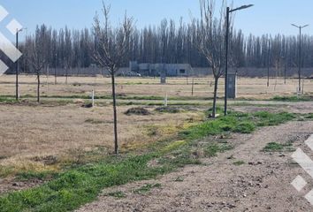 Terrenos en  Villa Regina, Río Negro