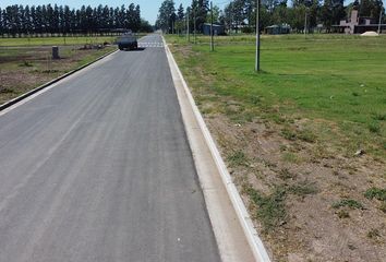 Terrenos en  General Lagos, Santa Fe