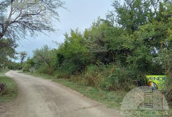 Terrenos en  Merlo, San Luis