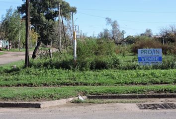 Terrenos en  Venado Tuerto, Santa Fe