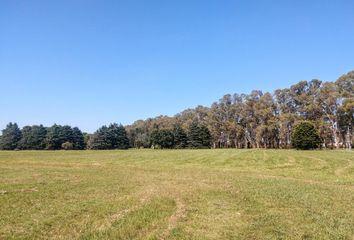 Casa en  El Argentino Farm Club, Partido De Luján