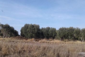 Terrenos en  Huillapima, Catamarca