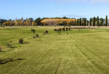 Terrenos en  General Juan Madariaga, General Madariaga