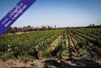 Terrenos en  San Martín, Mendoza