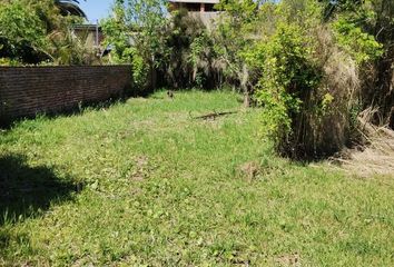 Terrenos en  Tigre, Partido De Tigre