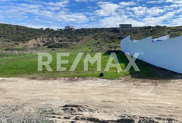 Lote de Terreno en  Murgia, Ensenada