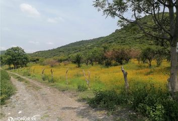 Lote de Terreno en  Pueblo Alpuyeca, Xochitepec, Morelos