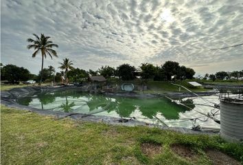 Lote de Terreno en  Tepalcingo, Morelos