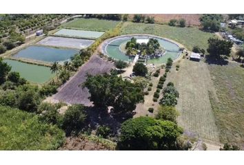 Lote de Terreno en  Tepalcingo, Morelos