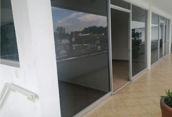 Oficina en  Palmira Tinguindin, Cuernavaca, Morelos