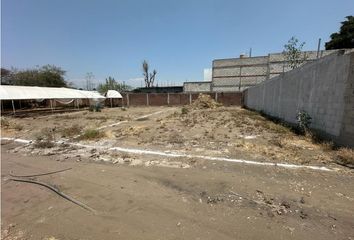 Lote de Terreno en  Ampliación 10 De Abril, Cuautla, Morelos