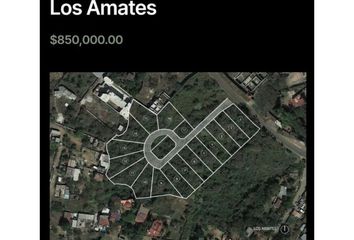 Lote de Terreno en  Pueblo Santo Domingo Ocotitlán, Tepoztlán