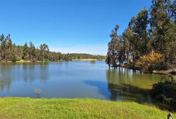 Parcela en  La Estrella, Cardenal Caro