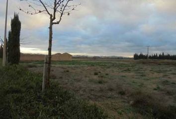 Terreno en  La Pobla De Vallbona, Valencia/valència Provincia