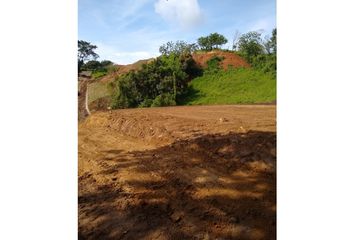 Lote de Terreno en  Centro, Manizales