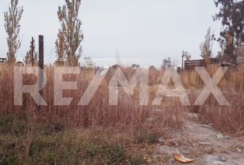 Terrenos en  Canal V, Neuquén