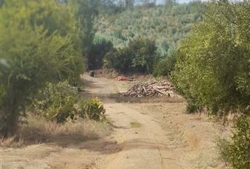 Parcela en  Chillán, Ñuble (región)