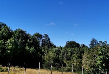 Parcela en  Maullín, Llanquihue