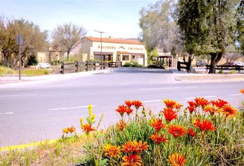 Parcela en  Colina, Chacabuco