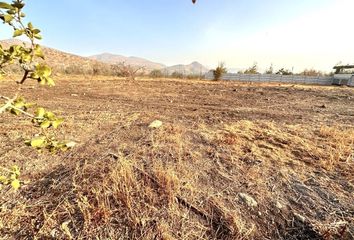 Parcela en  Colina, Chacabuco