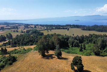 Parcela en  Lago Ranco, De Ranco