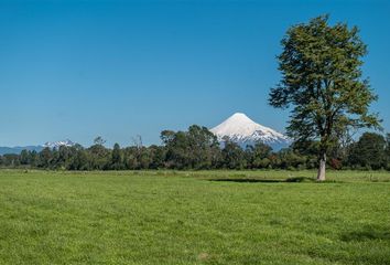 Parcela en  Osorno, Osorno