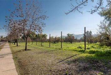 Parcela en  Colina, Chacabuco