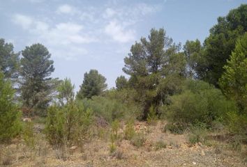 Terreno en  Algaida, Balears (illes)