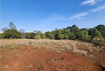 Lote de Terreno en  Huasca De Ocampo, Hidalgo