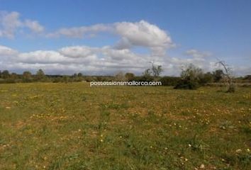 Terreno en  Algaida, Balears (illes)