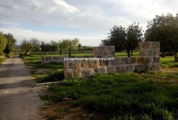 Terreno en  Algaida, Balears (illes)