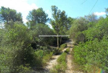 Terreno en  Biniali, Balears (illes)