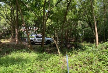 Lote de Terreno en  Corregimiento Bayunca, Cartagena De Indias