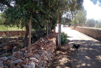 Terreno en  Algaida, Balears (illes)