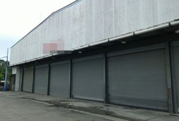 Bodega/Galera en  Santa María, Ciudad De Panamá