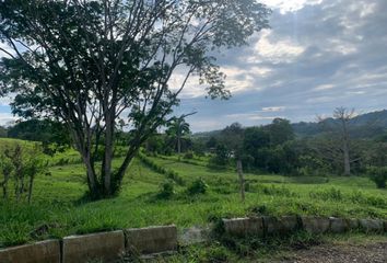 Lote de Terreno en  Neira, Caldas