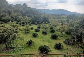 Lote de Terreno en  La Candelaria, Valle De Bravo