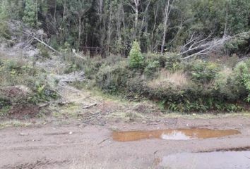 Parcela en  Quellón, Chiloé