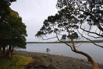 Parcela en  Quellón, Chiloé