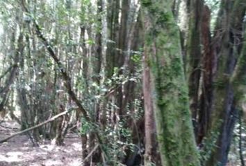 Parcela en  Gorbea, Cautín