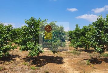 Terreno en  Picassent, Valencia/valència Provincia