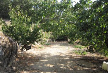 Terreno en  Rebollar, Cáceres Provincia