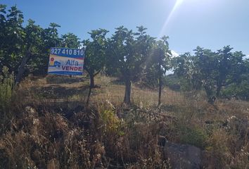 Chalet en  Torremenga, Cáceres Provincia