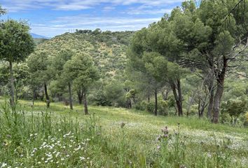 Terreno en  Navas Del Rey, Madrid Provincia