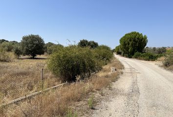 Terreno en  Navas Del Rey, Madrid Provincia