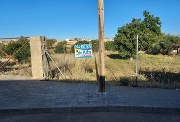 Terreno en  Puebla De Sancho Perez, Badajoz Provincia