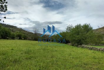 Terreno en  Teran (valle Cabuerniga), Cantabria