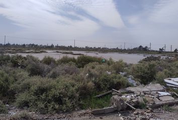 Terrenos en  Ingeniero White, Partido De Bahía Blanca